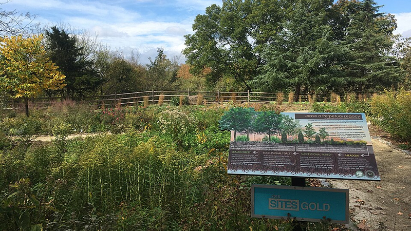 Saving the Environment — and Cash — Through ‘Green’ Burials